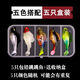馬洛帝跳跳魚(yú)路亞假餌包鉛軟餌防掛底海淡水路亞鱖魚(yú)鱸鯰黑魚(yú)T尾仿生餌 【隨機混色5枚+收納盒】釣魚(yú)套裝 防掛底包鉛跳跳魚(yú)【5cm/7克】