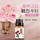伯璐絲玫瑰精油按摩 身體護膚全身刮痧肩頸按摩推背推拿滋潤滑肌膚 玫瑰花精油【10ml/瓶】
