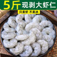 新鮮大蝦仁特大現剝青蝦仁特級無(wú)冰蝦肉鮮凍低脂蝦仁冷凍商用批發(fā) 5斤(凈重)  5斤5包大蝦仁