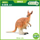 COLLECT英國CollectA我你他仿真野生動(dòng)物模型玩具88921紅袋鼠母子2021