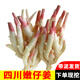 辰實(shí)【現貨】四川嫩姜 仔姜新鮮 子姜紅芽姜 醋泡姜 農家當季1500g【四川嫩仔姜】