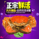 【活蟹】澄湖之心 陽(yáng)澄湖大閘蟹 現貨 鮮活螃蟹母蟹2.3-2.6兩八只