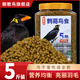 朝歌鳥 鷯哥鳥食5號朝歌鳥食鷯哥八哥專用壯膘營養(yǎng)黑八哥喜鵲鳥飼料5斤 2500g