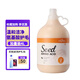格倫仕寶寵物狗狗用品沐浴露洗澡浴液護毛素金毛比熊 【加量裝】柔順絲滑-4L