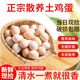 對(duì)面小城新鮮現(xiàn)撿土雞蛋柴雞蛋初生蛋單枚40±5g 25枚