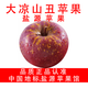 【鹽源蘋(píng)果館】大涼山丑蘋(píng)果鹽源蘋(píng)果糖心蘋(píng)果2025新鮮采摘 凈重5斤大果（80-85mm