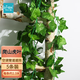 匠心綻放假綠植裝飾仿真花藤條藤葉爬山虎常春藤管道纏繞藤蔓5條裝20192