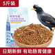 花卷寶寶鳥糧八哥飼料鳥飼料營養(yǎng)鷯哥鳥食海八黑八專用八哥糧鳥料八哥飼料 5斤