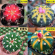 多肉組合盆栽陽臺(tái)盆栽喜陽植物新手福利按圖發(fā)貨品種花卉好養(yǎng) A款仙人球組合四種栽好發(fā)貨