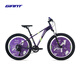 捷安特（GIANT）福音戰士EVA(Geek)吉克26寸油壓碟剎9速避震青少年山地自行車(chē) EVA紫色 26×14 建議身高150-175cm
