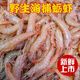 茗老漢海捕新鮮蠣蝦色蝦青島鷹爪蝦海蝦雞爪蝦紅蝦立蝦鮮活速凍 2000g