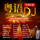 汽車載音樂U盤32g粵語dj經(jīng)典老歌的士高超嗨串燒無損高音質(zhì)usb 默認商品