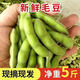 囧仙子高山毛豆帶殼新鮮豆角大青豆豆莢現貨老品種帶殼綠毛豆 3斤精選裝