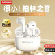 聯(lián)想藍牙耳機真無(wú)線(xiàn)入耳式雙耳音樂(lè )降噪運動(dòng)跑步適用于華為蘋(píng)果安卓手機 白色【13mm大動(dòng)圈+ENC降噪】
