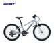 捷安特（GIANT）XTC 20鋁合金20寸7速V剎變速青少年自行車 淺鐵灰 20×10 建議115-135cm