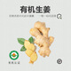 有機(jī)大姜新姜2斤 有機(jī)認(rèn)證不打藥調(diào)味炒菜 孕婦寶寶月子姜醋泡姜 有機(jī)鮮姜不帶泥 5斤
