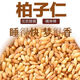 北京同仁堂同品質(zhì)柏子仁特一級柏籽仁炒柏子仁養(yǎng)心安神睡眠中藥材官方店旗艦 精選柏子仁250克