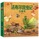 【新華書(shū)店】法布爾昆蟲(chóng)記立體書(shū)(精)/POP-UP呦呦童科普立體書(shū)