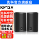 先科專業(yè)無源音響會議室酒店家庭影院家庭ktv客廳背景音樂培訓(xùn)專用系統(tǒng)壁掛音箱一對 【 KP12V】12吋專業(yè)級無源音箱*一對