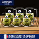 樂美雅（Luminarc）法國(guó)樂美雅耐熱鋼化玻璃杯子家用茶杯帶把水杯大容量泡茶杯加厚綠 能量450ml【六支】+竹盤