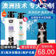 4LEGS狗狗邊牧沐浴露邊牧黑色米白色拉布拉多沐浴露專用幼犬浴液香波洗澡液邊境牧羊犬 邊牧犬專用沐浴露