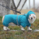 SLPC狗狗雨衣柯基雨披中小型犬泰迪柴犬雨衣巴哥法斗雪納瑞寵物衣服 湖藍色 2XL（適合25-35斤左右狗狗）