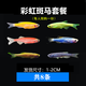 墨一觀(guān)賞魚(yú)斑馬魚(yú)活體小型好養耐活魚(yú)淡水練手魚(yú)下崽狂魔熱帶魚(yú) 六色彩虹斑馬6條送2條防損 共8條