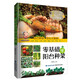 零基礎(chǔ)學(xué)陽臺(tái)種菜