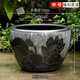 泰禧閣景德鎮(zhèn)睡蓮荷花盆缸花盆陶瓷特大號(hào)種樹盆景大花盆庭院養(yǎng)魚缸 雕刻黑蓮中號(hào)直徑53高度32cm 底部無孔養(yǎng)魚水培植物專用