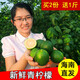 周小貝 重慶青檸檬新鮮檸檬水果青檸原產(chǎn)地綠色檸檬薄皮2斤裝