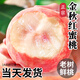 京地達水蜜桃金秋紅蜜桃子新鮮毛桃中秋水果凈重4斤單果200g+源頭直發(fā)