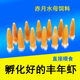 水母飼料豐年蝦海鹽水素小包裝觀賞水族魚食餌料孵化幼蟲冷凍新鮮 豐年蝦0.5毫升*12支