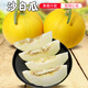 密水農(nóng)家老農(nóng)自種 伊麗莎白甜瓜 現(xiàn)摘香 脆甜爆汁 應季新鮮水果 伊麗莎白甜瓜約5斤