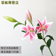 泰錦瑞假花仿真花客廳擺花瓶花束長(zhǎng)枝百合花餐桌客廳裝飾塑料花絹花插花 粉色 3花頭1花苞高97cm 1支