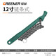 綠林（GREENER）拷式皮帶濾清器扳手 油格拆裝換機(jī)油可調(diào)節(jié)機(jī)油濾芯扳手扳手工具 鏈條式-12寸