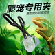 海伊朵寵物爬蟲用品喂食器飼養(yǎng)蝗蟲蟋蟀面包蟲養(yǎng)殖昆蟲爬箱清潔糞球夾 爬蟲夾【隨機(jī)色】
