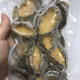 海鮮冷凍小鮑魚肉鮮活去殼凈肉深海鮑魚 1斤(80-100粒)