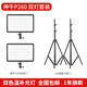神牛（Godox） LEDP260C攝影燈直播視頻補(bǔ)光燈拍照錄像攝影外拍柔光燈攝像機(jī)常亮平板可調(diào)色溫 P260C兩燈標(biāo)配套裝含2m燈架