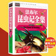 中國兒童少兒科普百科知識全書類書籍 常春藤：法布爾昆蟲記全集 精致圖文版 定價68