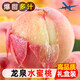 順豐空運(yùn) 四川龍泉驛水蜜桃子當(dāng)季時(shí)令孕婦水果現(xiàn)摘禮盒裝 5斤 16枚以內(nèi)（優(yōu)質(zhì)中果）禮盒裝