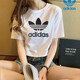 adidas阿迪達(dá)斯三葉草短袖T恤男女情侶夏季新款ins潮流寬松棉質(zhì)圓領(lǐng)半袖 GN2899經(jīng)典大logo/女款 M