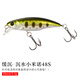 釣之屋（TSURINOYA） DW69緩沉沉水小米諾48mm/3.3g 48S鱖魚(yú)翹嘴遠投路亞餌假餌 DW69-L