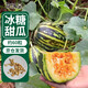 花沃里冰糖甜瓜種子60粒/包 蔬菜種子瓜果家庭盆栽陽(yáng)臺辦公庭院種植菜籽