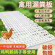 耐爾尼雞漏糞板養雞鴨鵝用漏糞板家禽鴨鵝鴿子籠舍漏糞網(wǎng)漏屎尿地板腳墊 50*120cm升級加重雞漏糞板