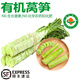 諸氏橙品【有機(jī)】萵筍 云南紫葉新鮮青筍萵苣 現(xiàn)挖現(xiàn)發(fā)當(dāng)季時(shí)令蔬菜整箱 【精選有機(jī)萵筍】3斤 嘗鮮
