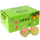 玉露香梨 山西臨汾特產(chǎn)梨子脆甜無渣新鮮當(dāng)季水果 5斤