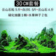 森淵 魚(yú)缸造景套餐水草泥草種子假山石頭造景石底砂魚(yú)缸裝飾水族箱草 30cm套餐