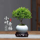 小葉赤楠老樁盆栽盆景迷你植物室內(nèi)花卉辦公室桌面小綠植好養(yǎng)四季 赤楠+白圓球瓷盆（送托盤送苔鮮