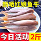 小魚(yú)干紅娘魚(yú)干紅頭魚(yú)干風(fēng)干去頭半干小咸魚(yú)山東咸魚(yú)干 1000克精品紅娘子魚(yú)