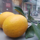贛南臍橙果農(nóng)自產(chǎn)自銷(xiāo)現(xiàn)摘發(fā)貨口感爽甜橙子柑桔正宗贛南信豐安西臍橙 約85mm/95mm中大果20斤裝
